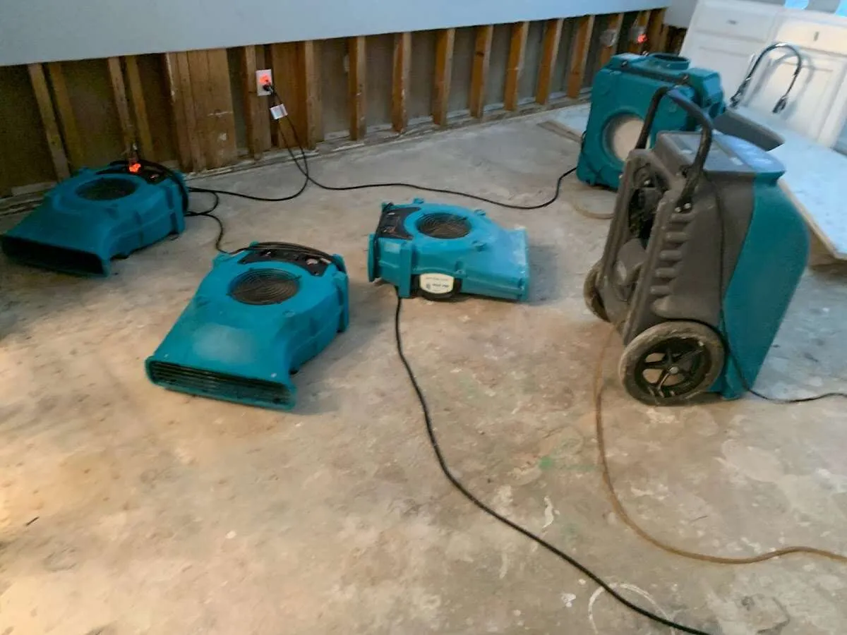 Water Damage Restoration services in Bonita Springs, FL